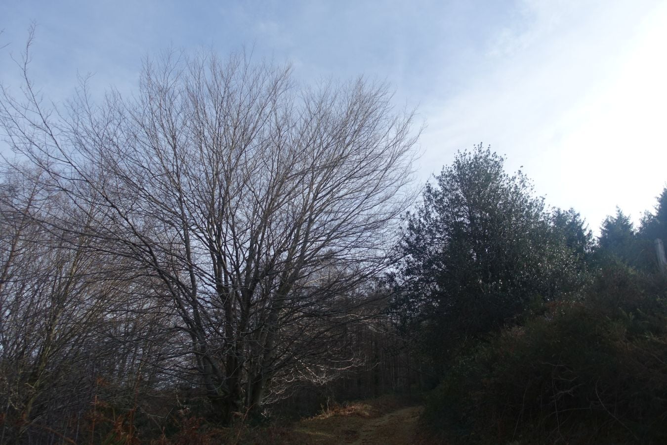 Fotos: Petriketa, entre molinos y gigantes