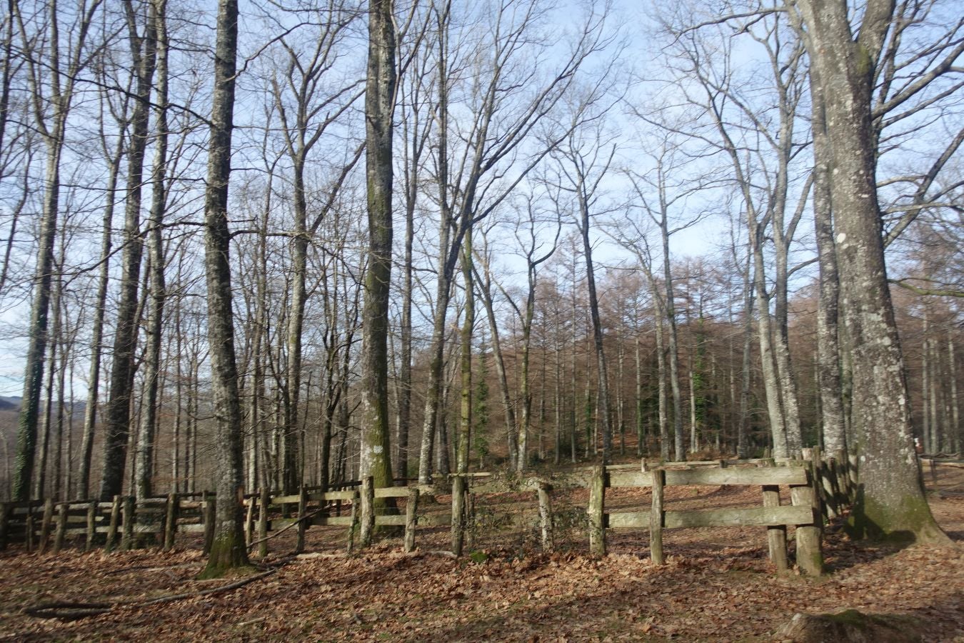 Fotos: Petriketa, entre molinos y gigantes