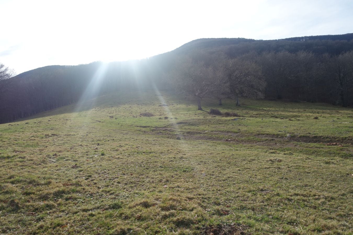 Fotos: Petriketa, entre molinos y gigantes