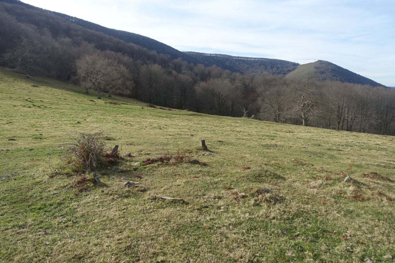 Fotos: Petriketa, entre molinos y gigantes