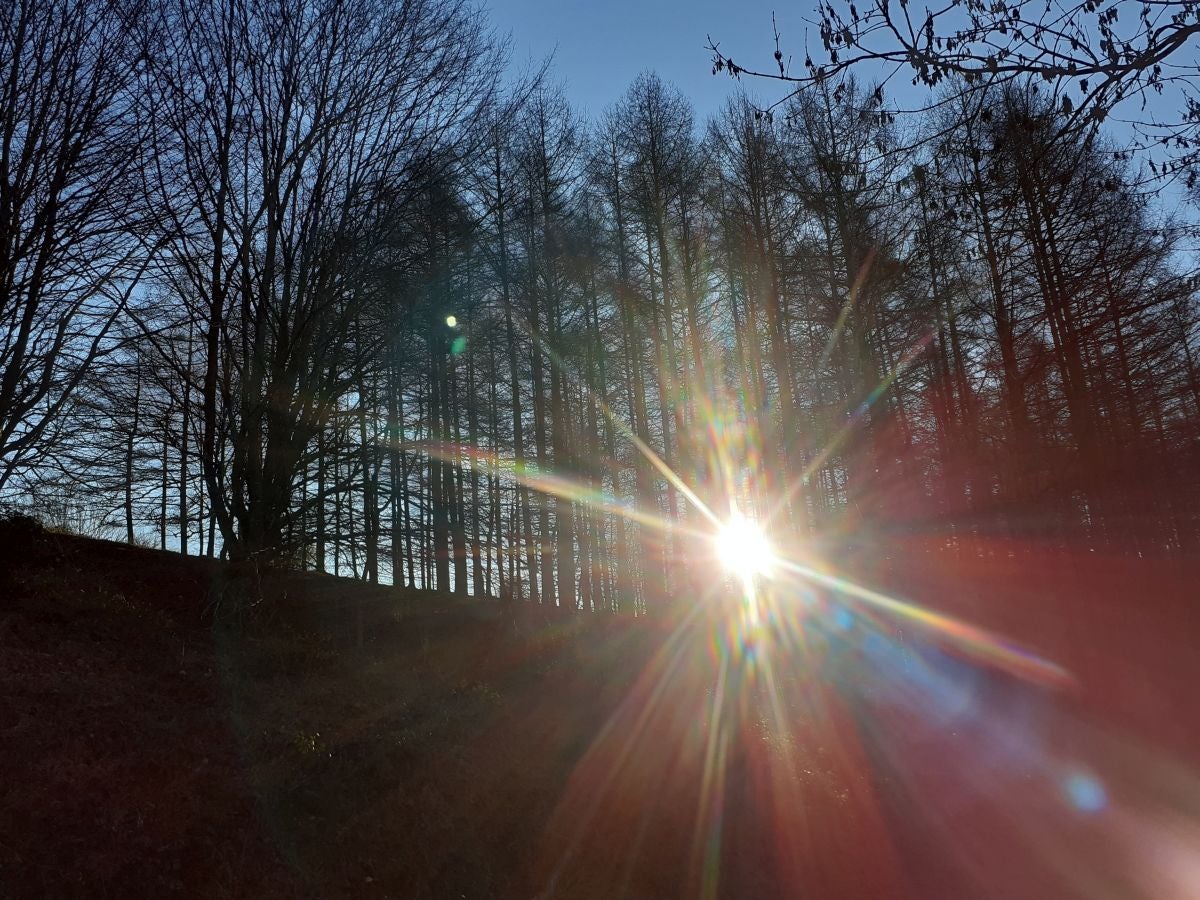 Fotos: Petriketa, entre molinos y gigantes