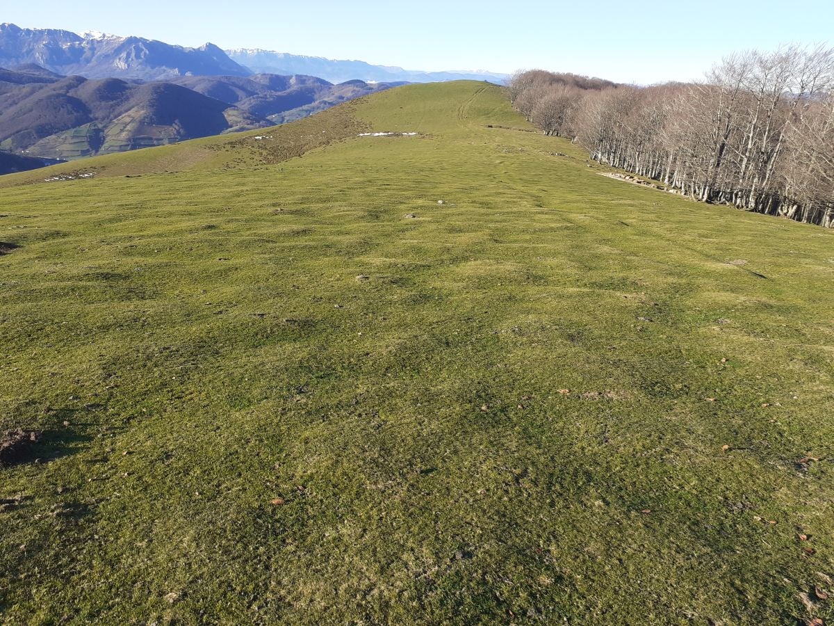 Fotos: Petriketa, entre molinos y gigantes