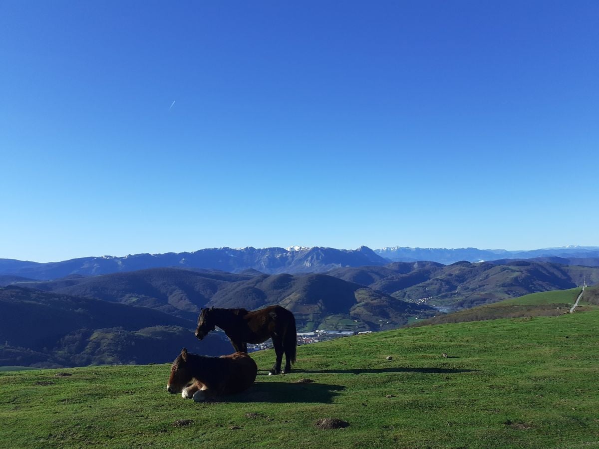 Fotos: Petriketa, entre molinos y gigantes