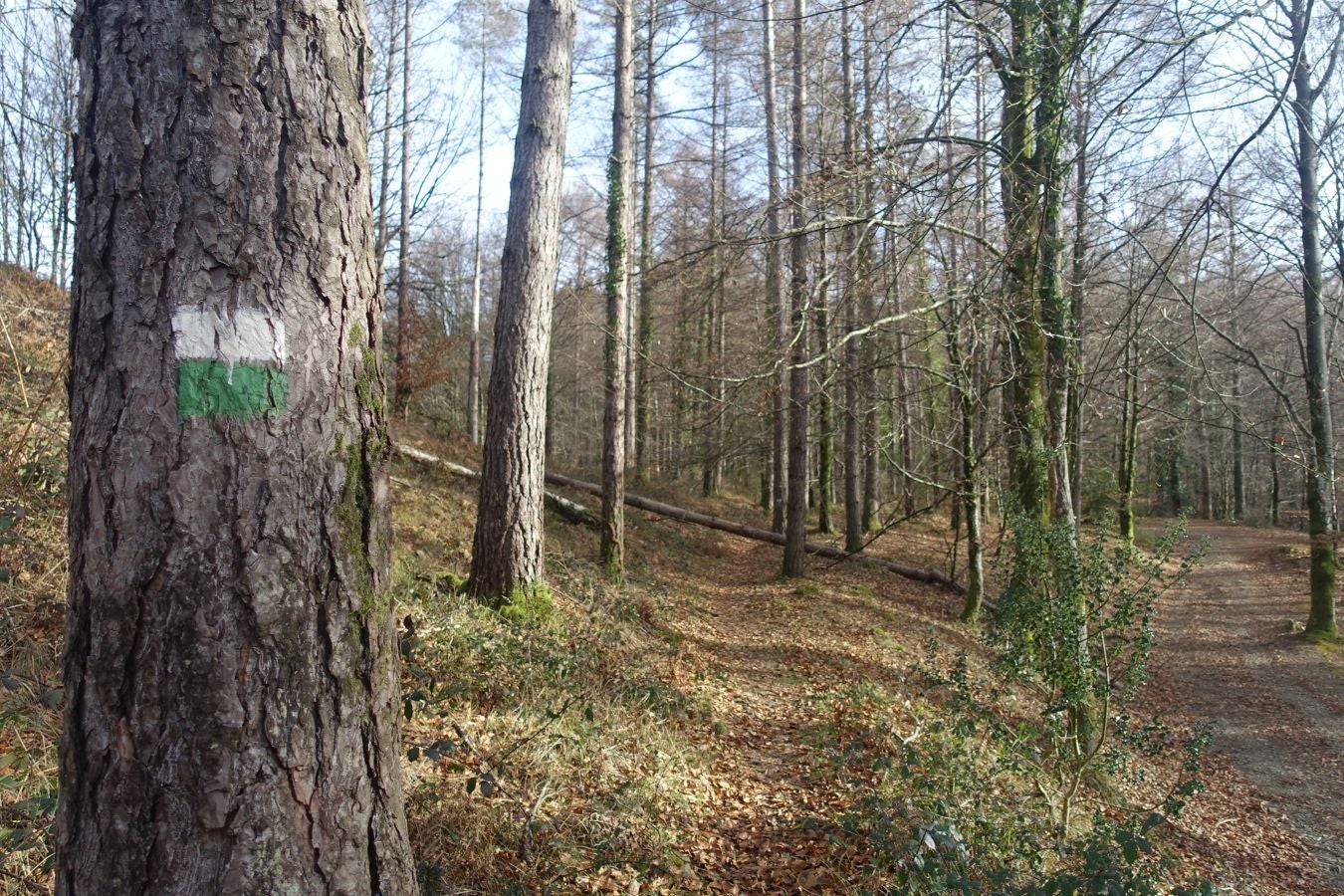 Fotos: Petriketa, entre molinos y gigantes