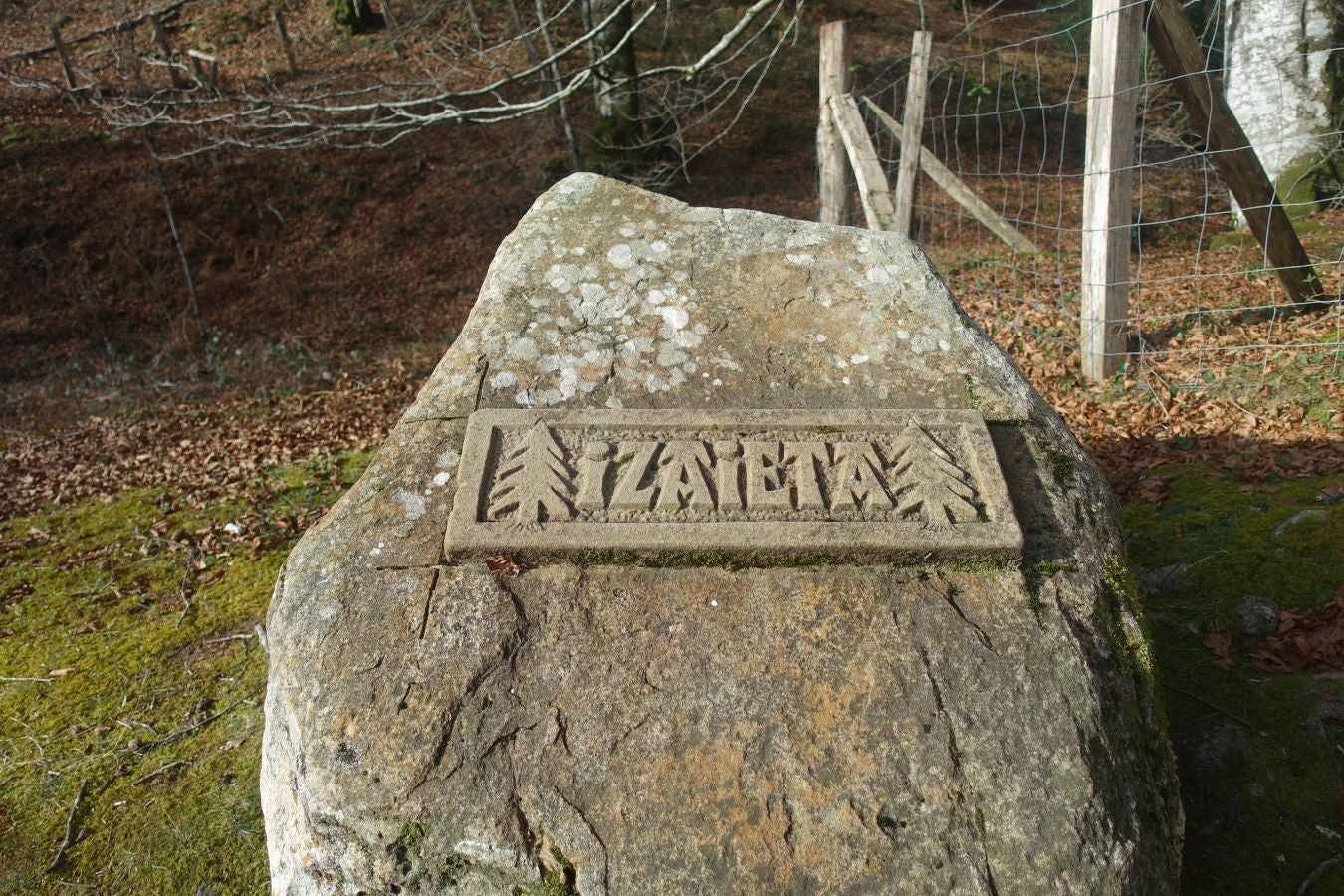 Fotos: Petriketa, entre molinos y gigantes