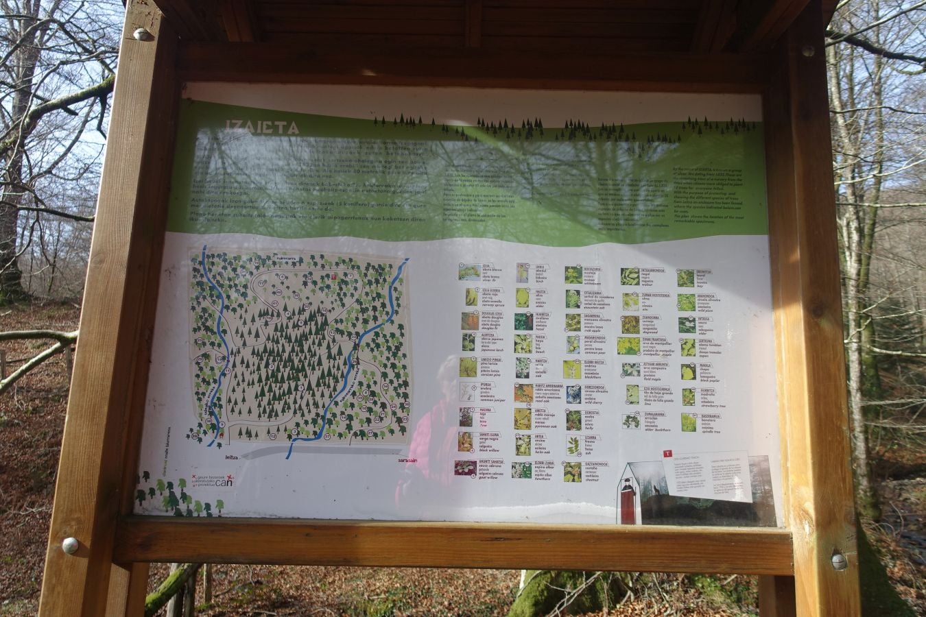 Fotos: Petriketa, entre molinos y gigantes