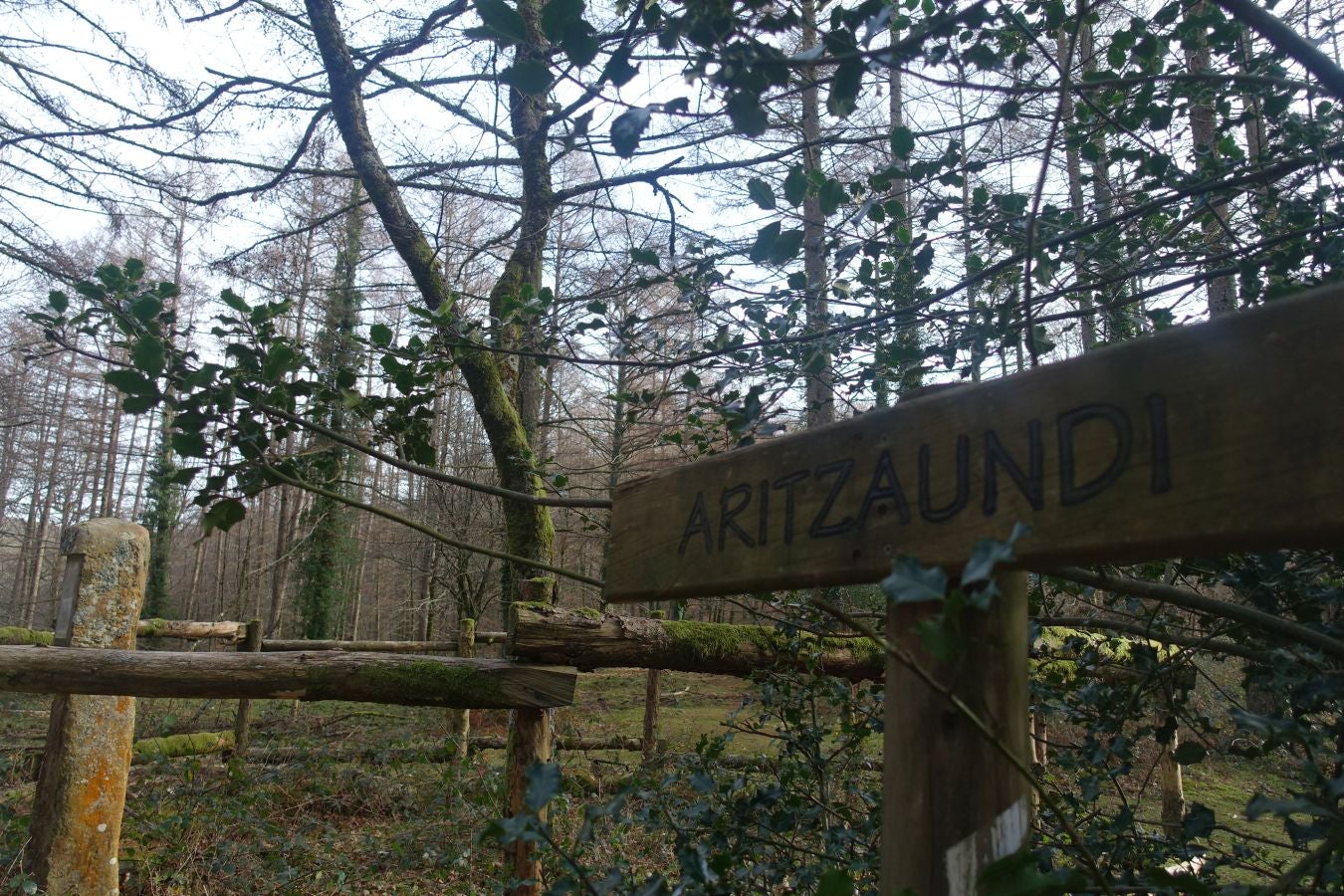 Fotos: Petriketa, entre molinos y gigantes