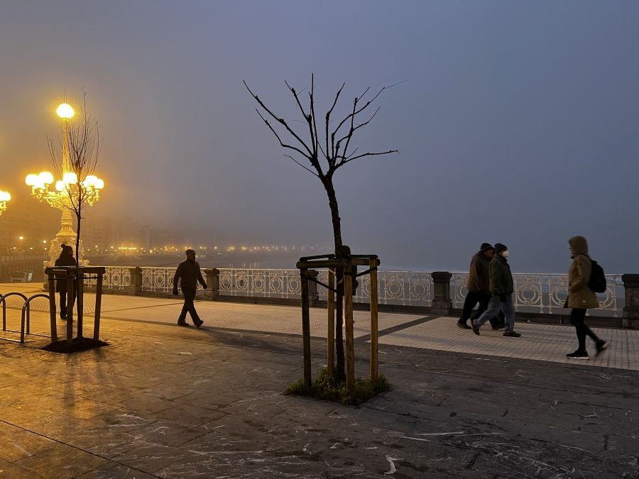 Fotos: Amanecer bajo la niebla
