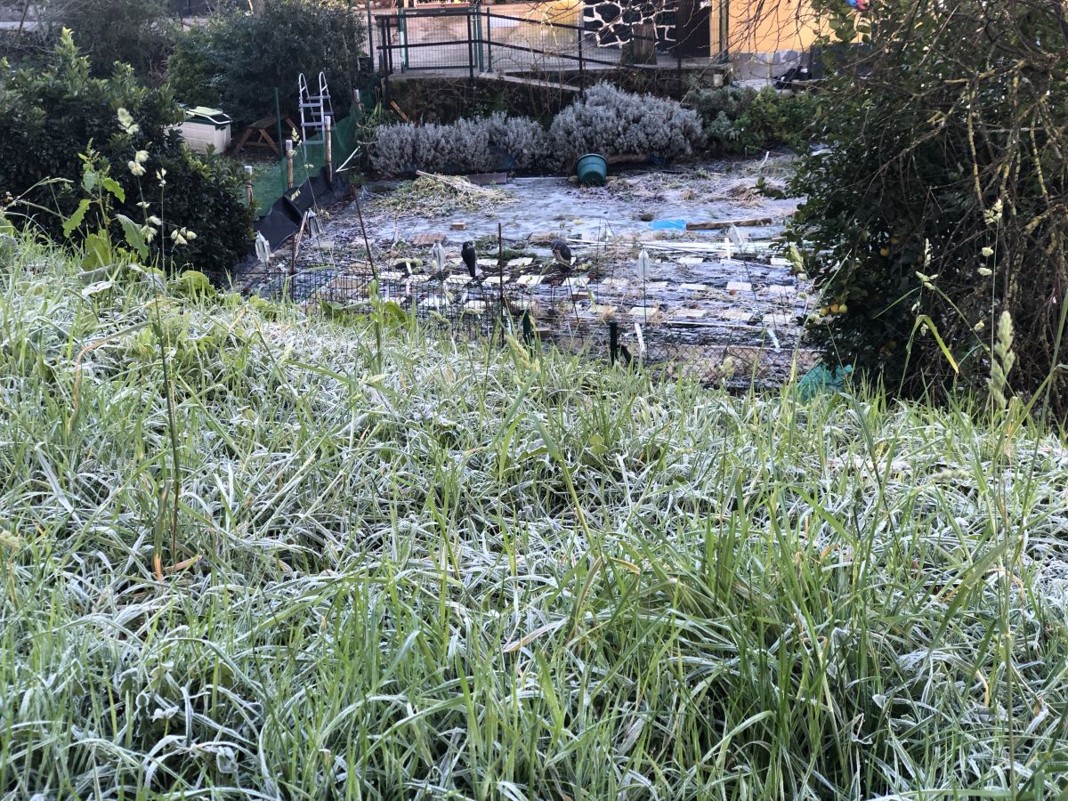 Municipios como Oñati, Arrasate, Aretxabaleta o Elgoibar han registrado esta madrugada temperaturas bajo cero