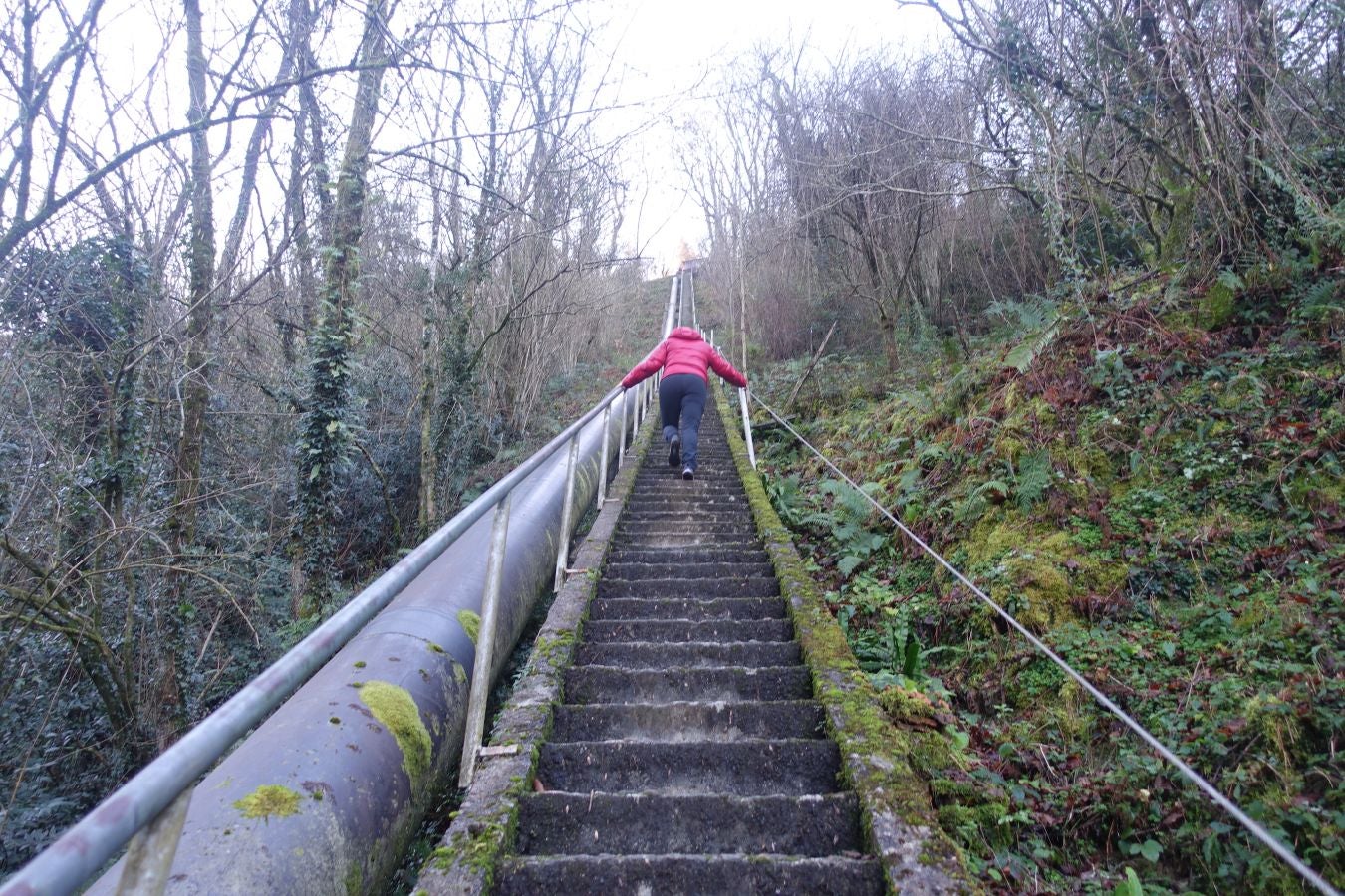 Fotos: Oindolar, señor del reino del agua