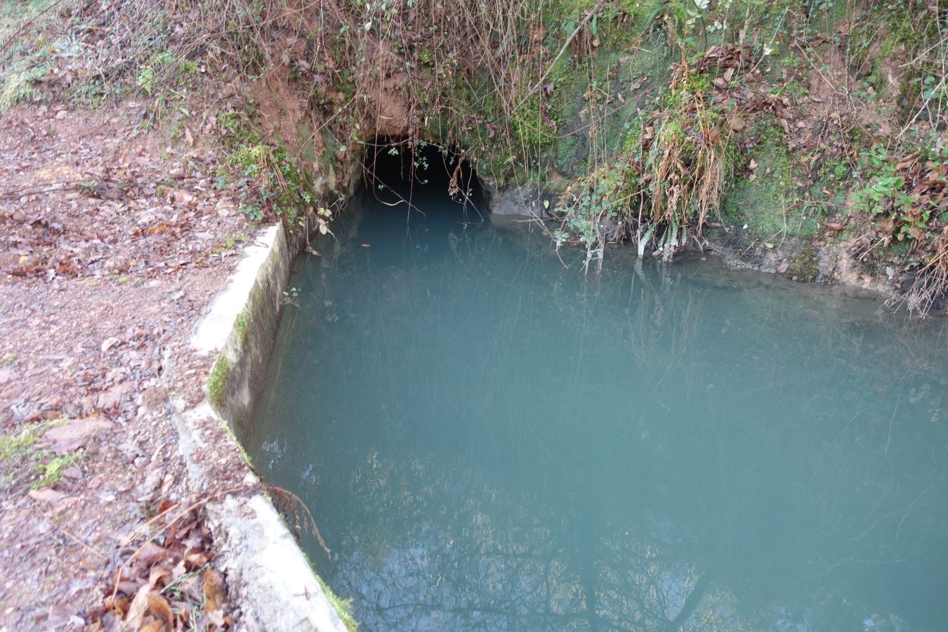 Fotos: Oindolar, señor del reino del agua