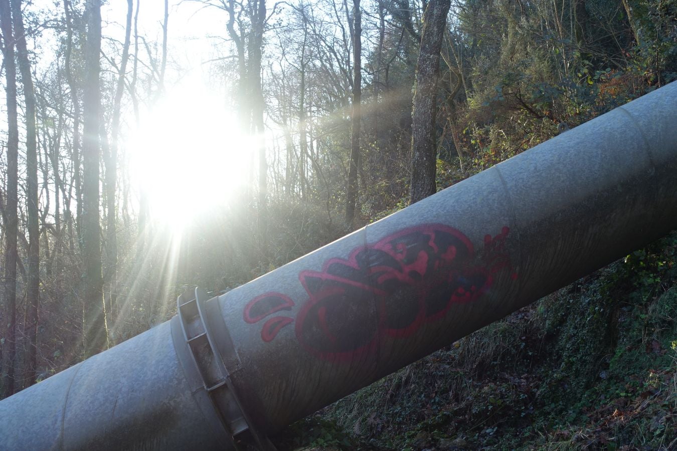 Fotos: Oindolar, señor del reino del agua