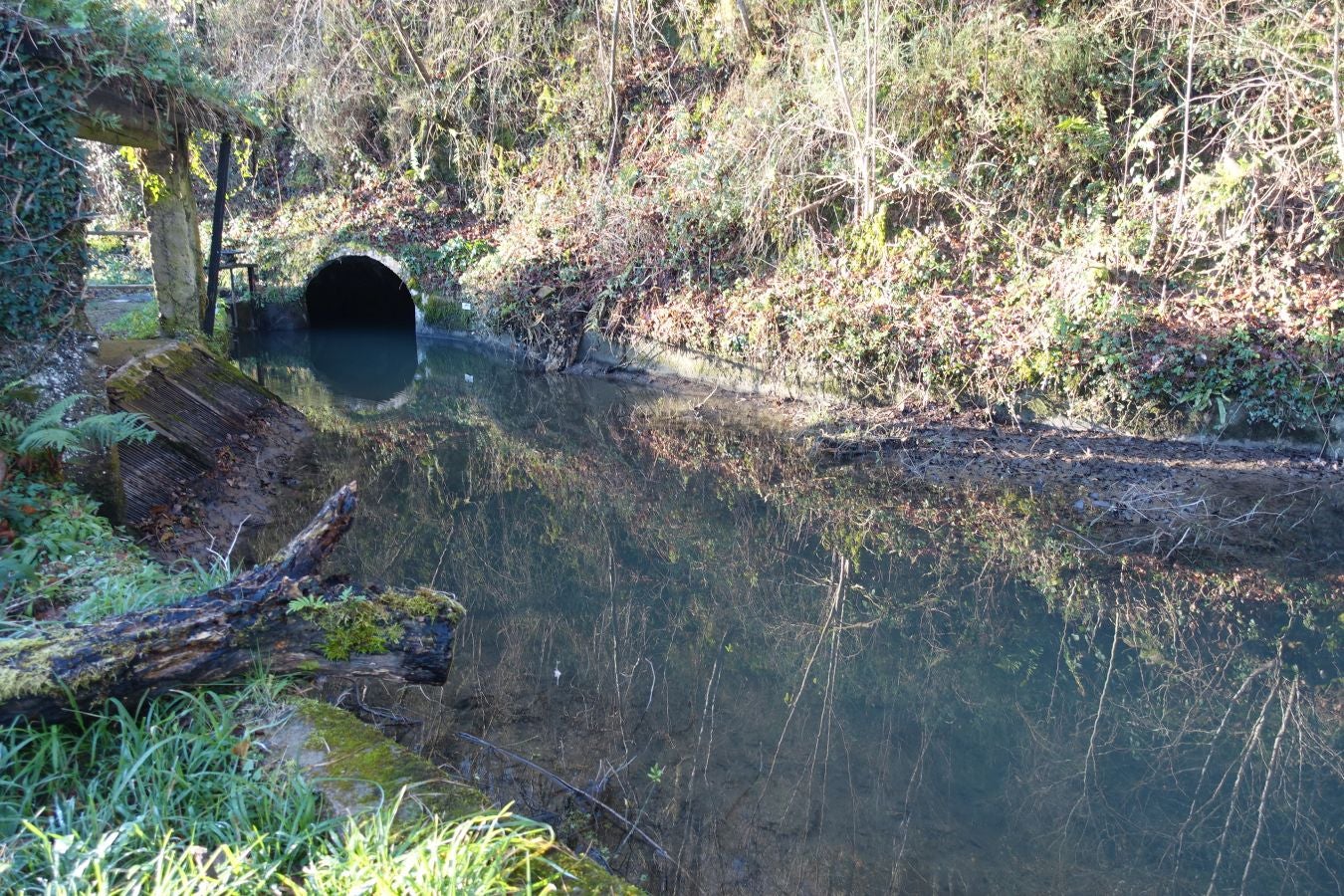 Fotos: Oindolar, señor del reino del agua