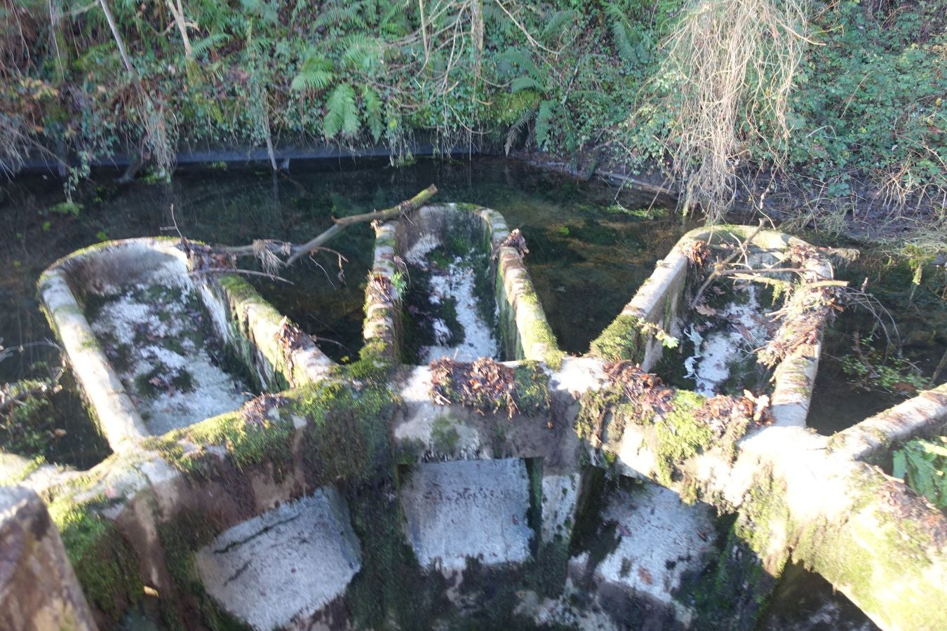 Fotos: Oindolar, señor del reino del agua