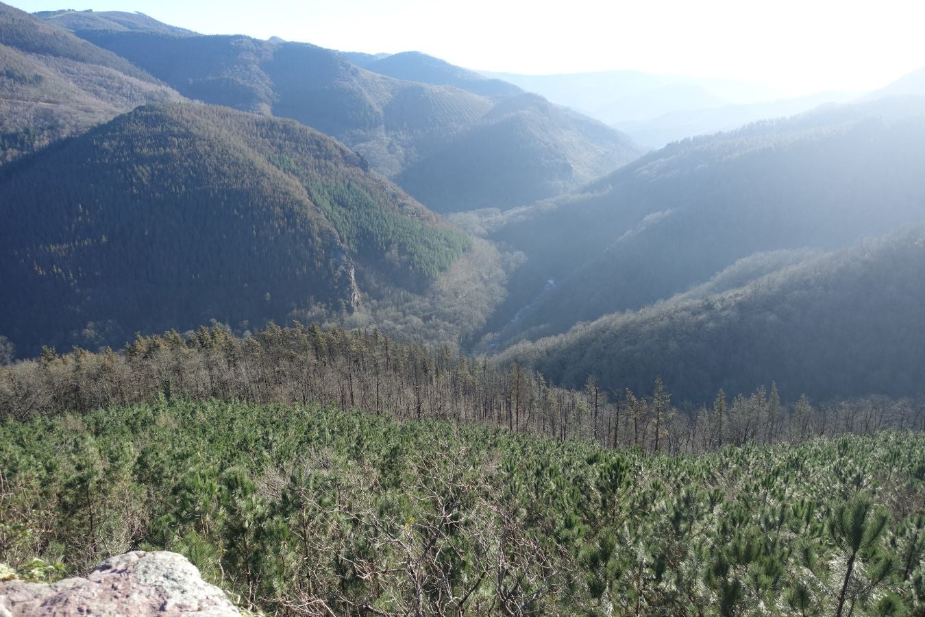 Fotos: Oindolar, señor del reino del agua