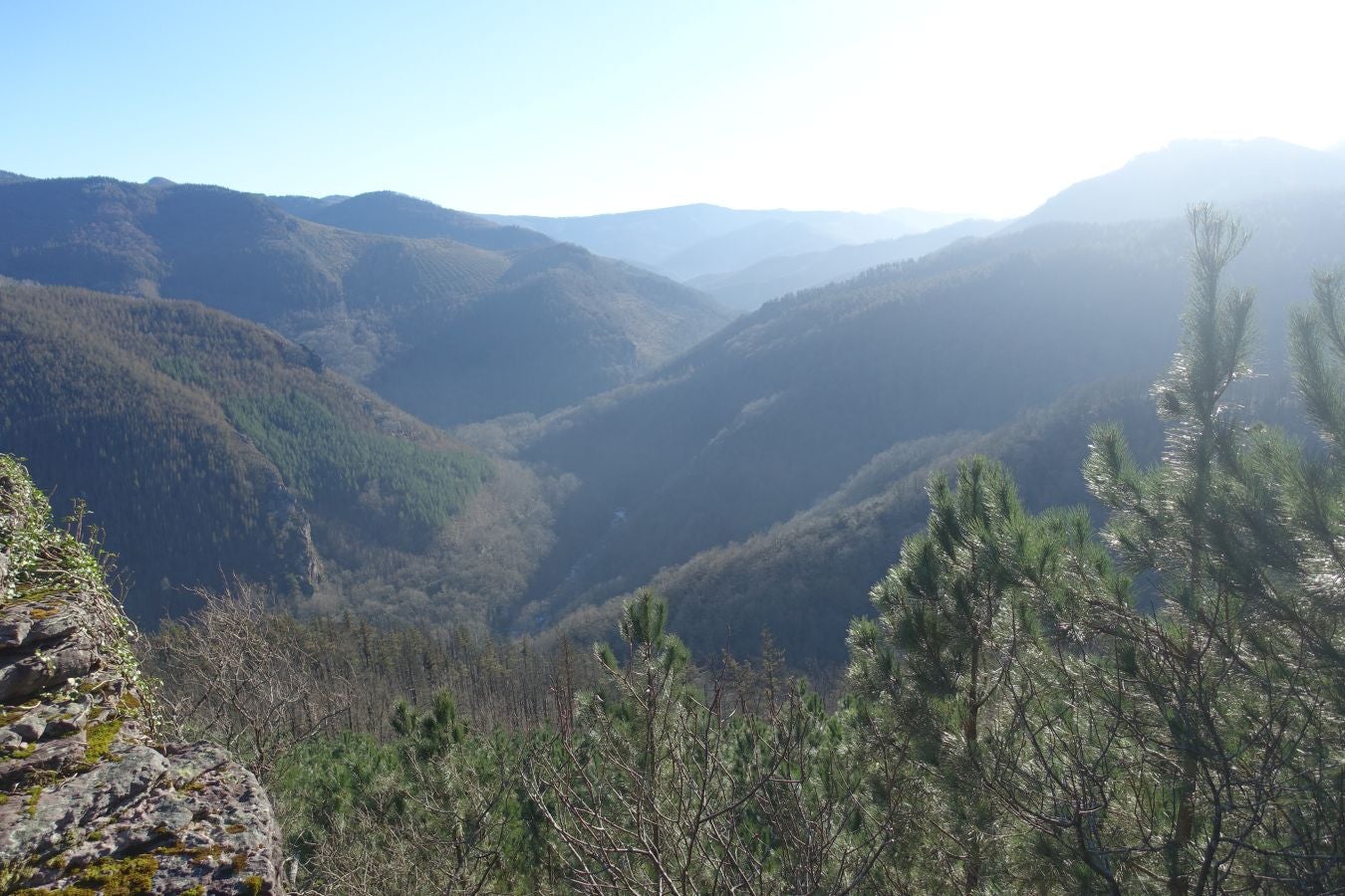 Fotos: Oindolar, señor del reino del agua