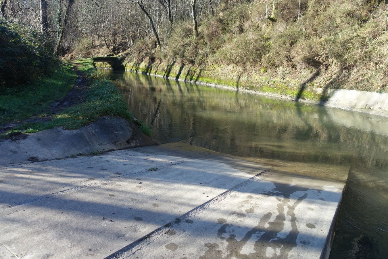 Fotos: Oindolar, señor del reino del agua