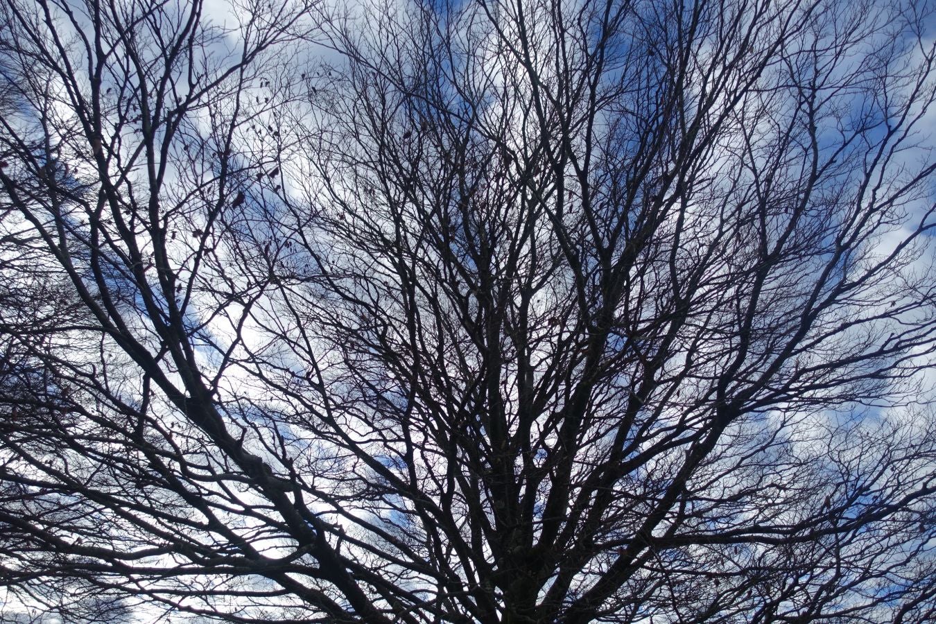 Fotos: Erga, con vistas a los Pirineos