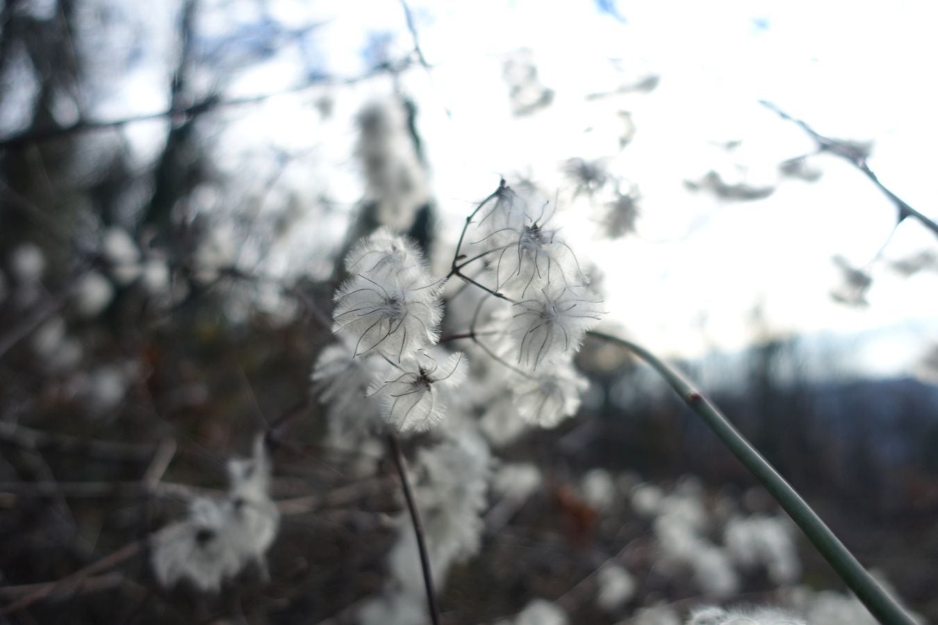 Fotos: Erga, con vistas a los Pirineos