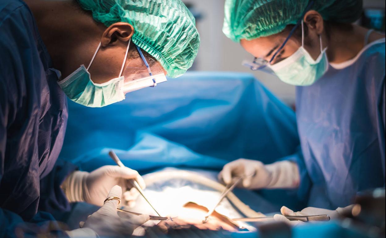 Euskadi resiste en número de donaciones de órganos a pesar del Covid