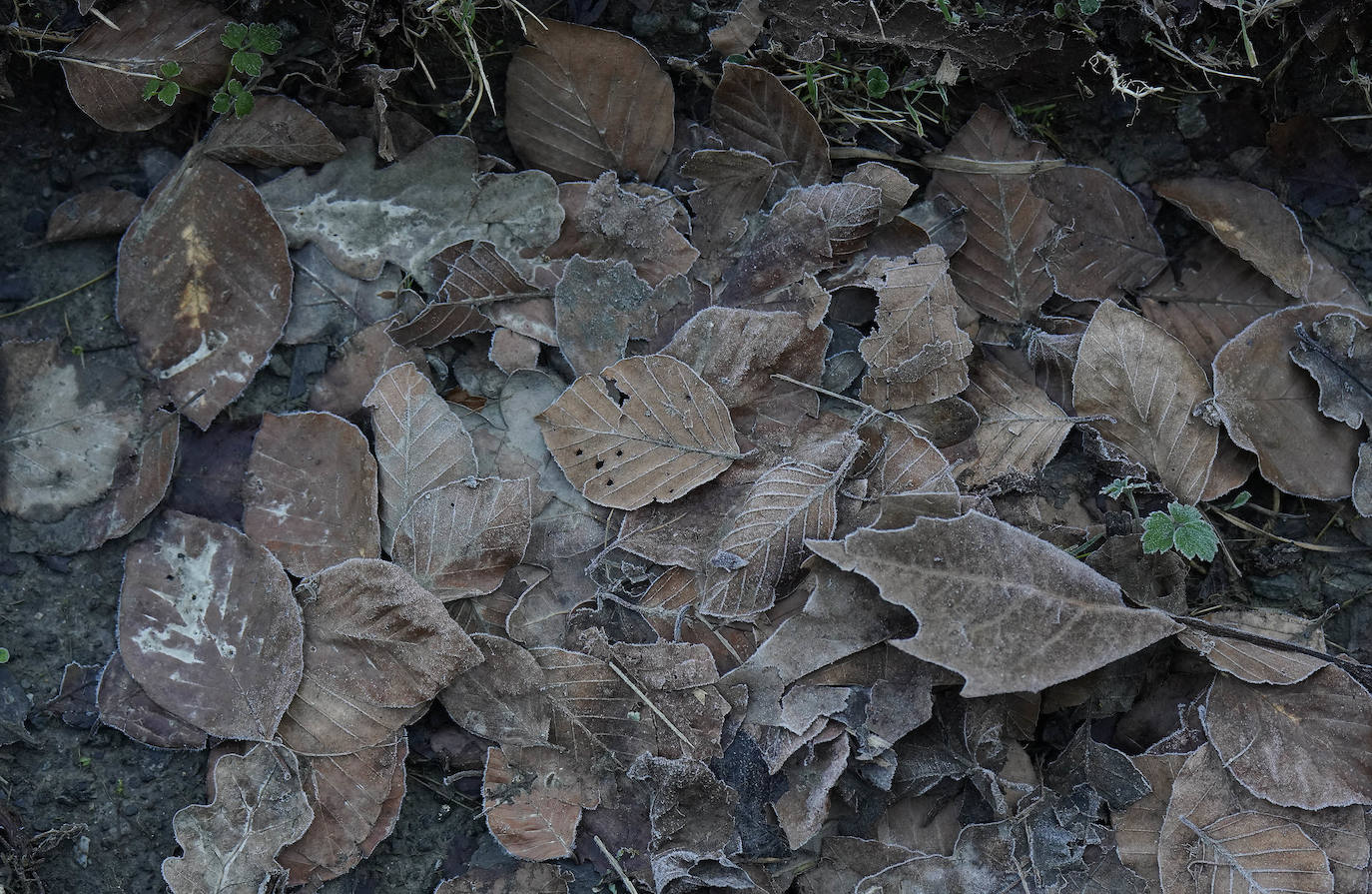 Fotos: Gipuzkoa se congela con temperaturas bajo cero