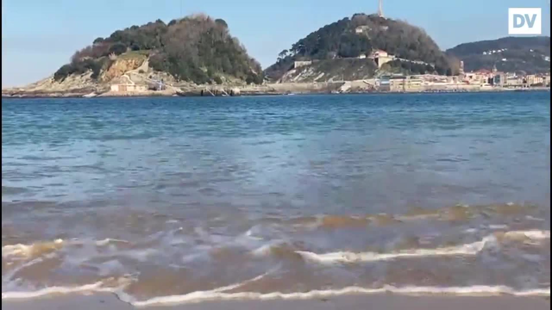 Un pingüino arao en Ondarreta