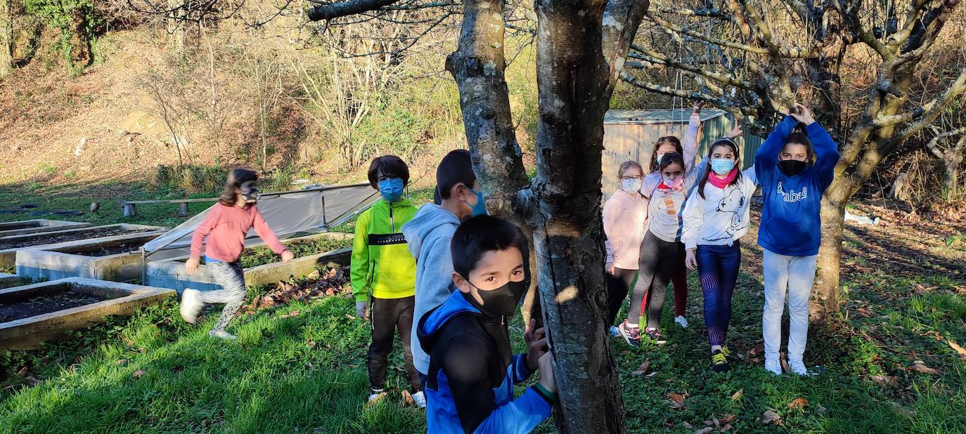 Los niños de Tercero de Primaria, en el monte Ulia.