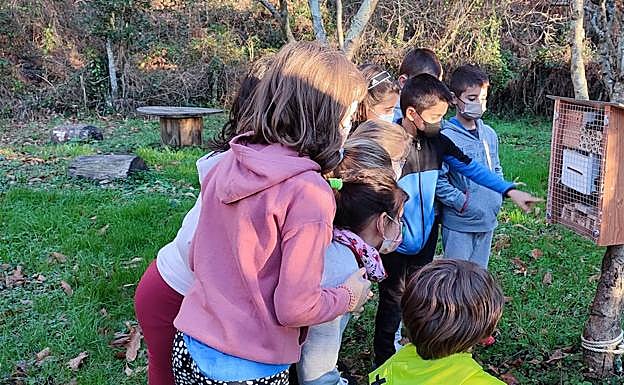 Imagen principal - Umeak, baratzan jolasten eta ikasten.