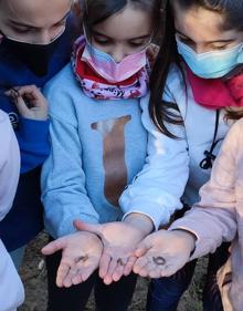 Imagen secundaria 2 - Umeak, baratzan jolasten eta ikasten.