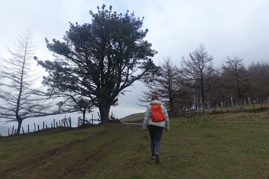 Bajo el manto blanco que ha cubierto esta semana el macizo de Aizkorri se encuentra, Zumarraga y los pueblos que se encuentran en el valle de Urola. 