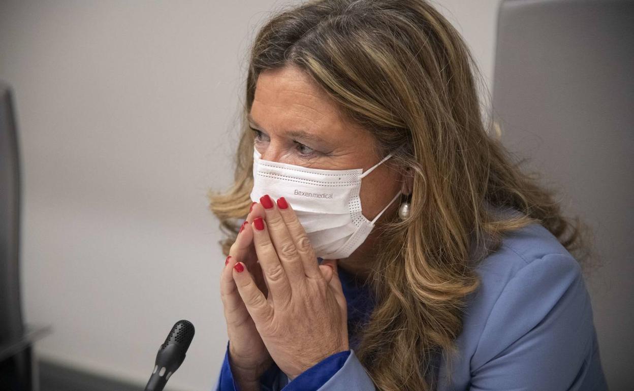 Coronavirus en Euskadi: Gotzone Sagardui: «Es momento de la recuperación, no de huelgas»