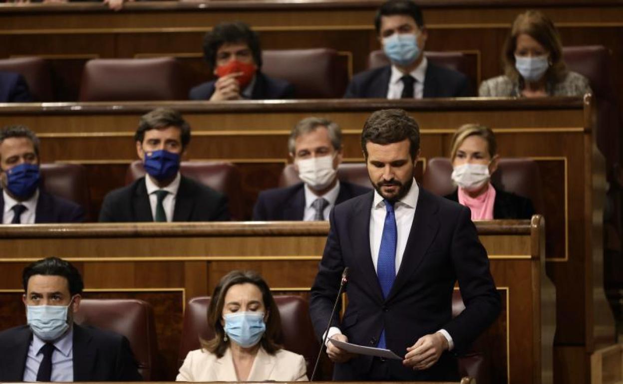 El líder del PP, Pablo Casado, interviene en una sesión plenaria, en el Congreso de los Diputados.