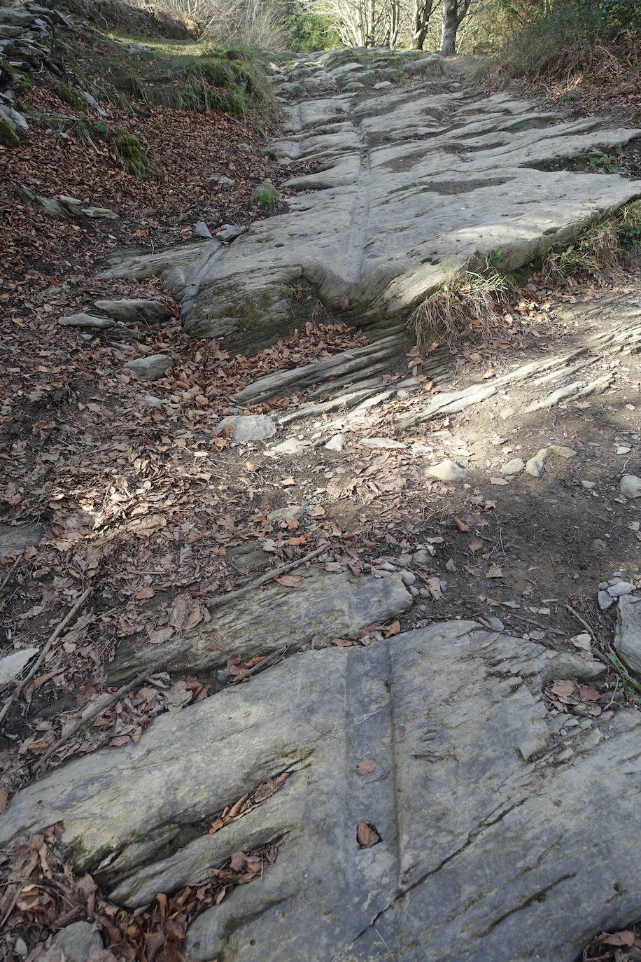 Fotos: Pagoeta, en el límite del Cantábrico