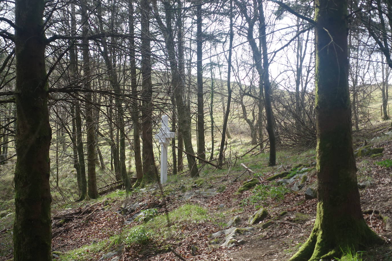 Fotos: Pagoeta, en el límite del Cantábrico