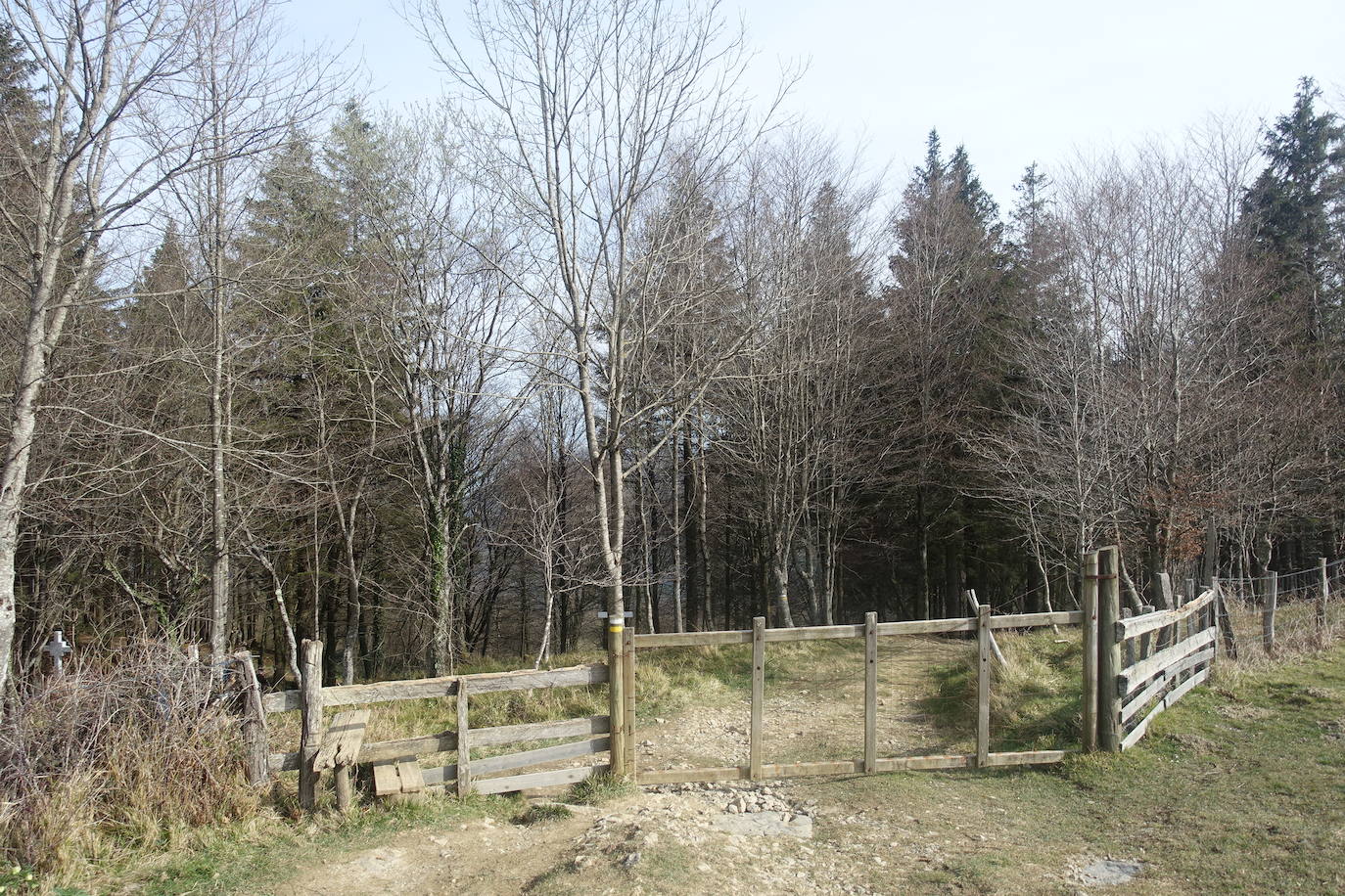 Fotos: Pagoeta, en el límite del Cantábrico