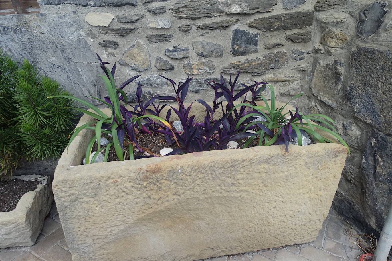 Fotos: Pagoeta, en el límite del Cantábrico