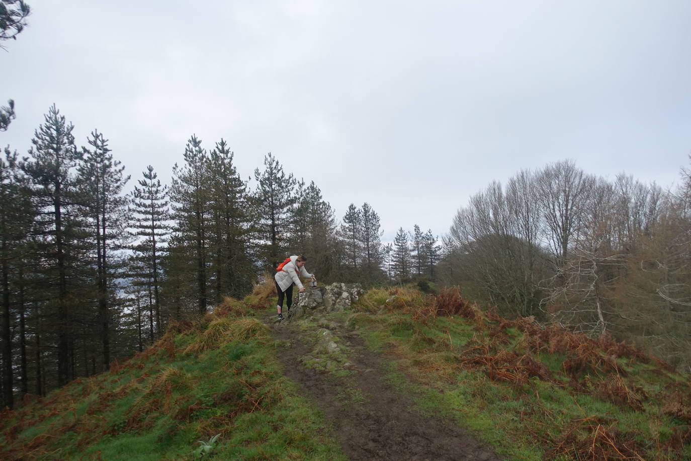 Fotos: Irimo, silencioso guardián del Urola