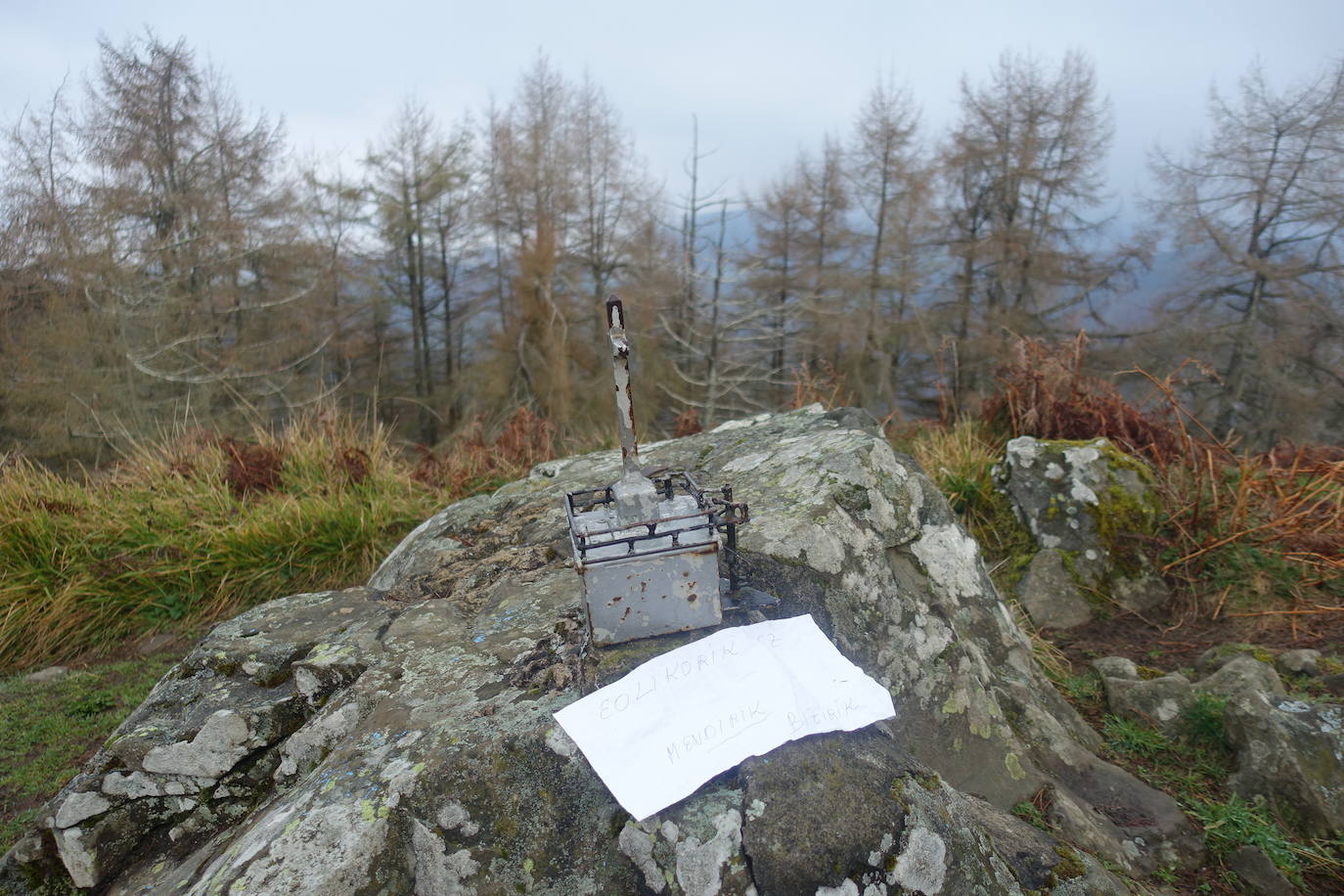 Fotos: Irimo, silencioso guardián del Urola