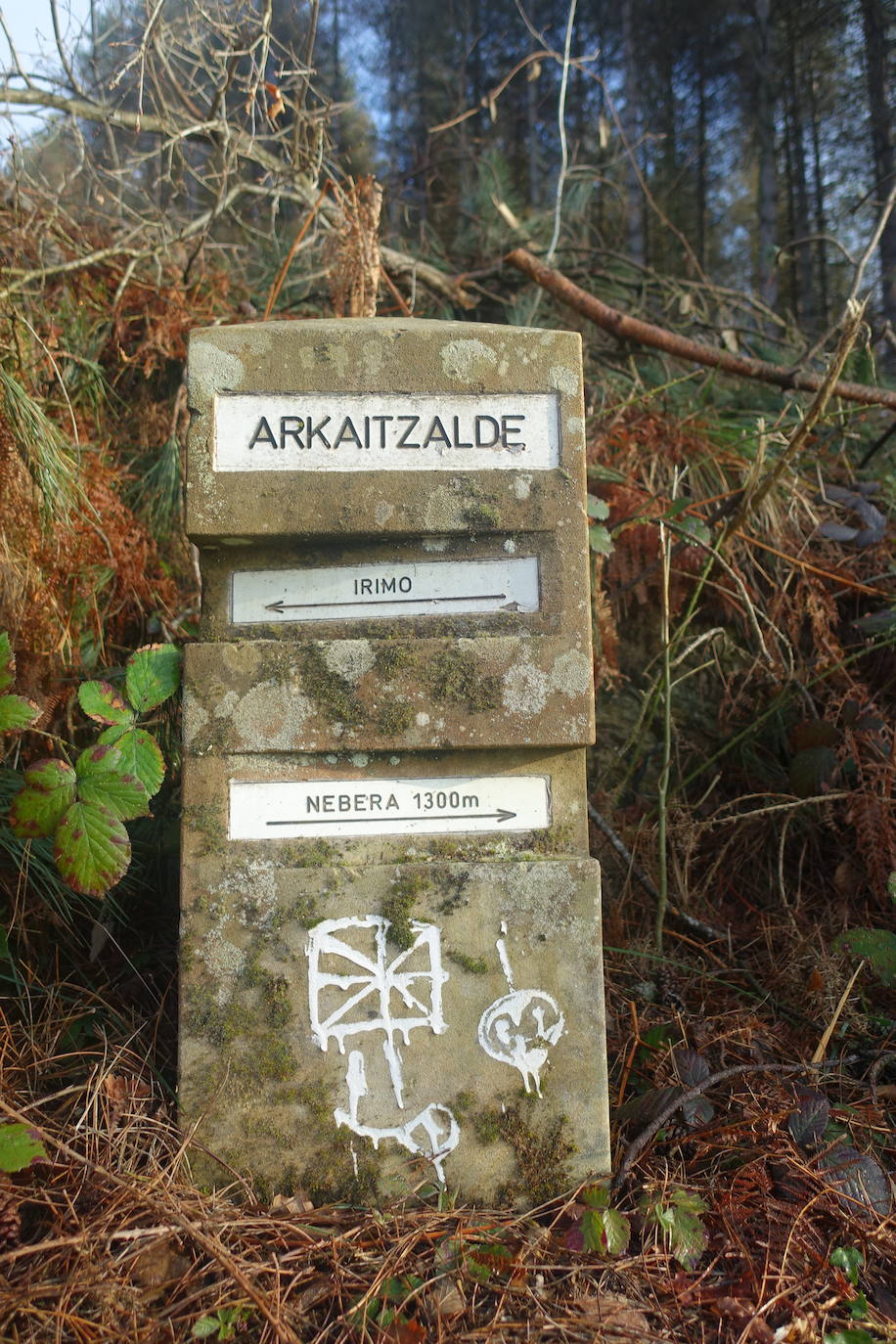 Fotos: Irimo, silencioso guardián del Urola