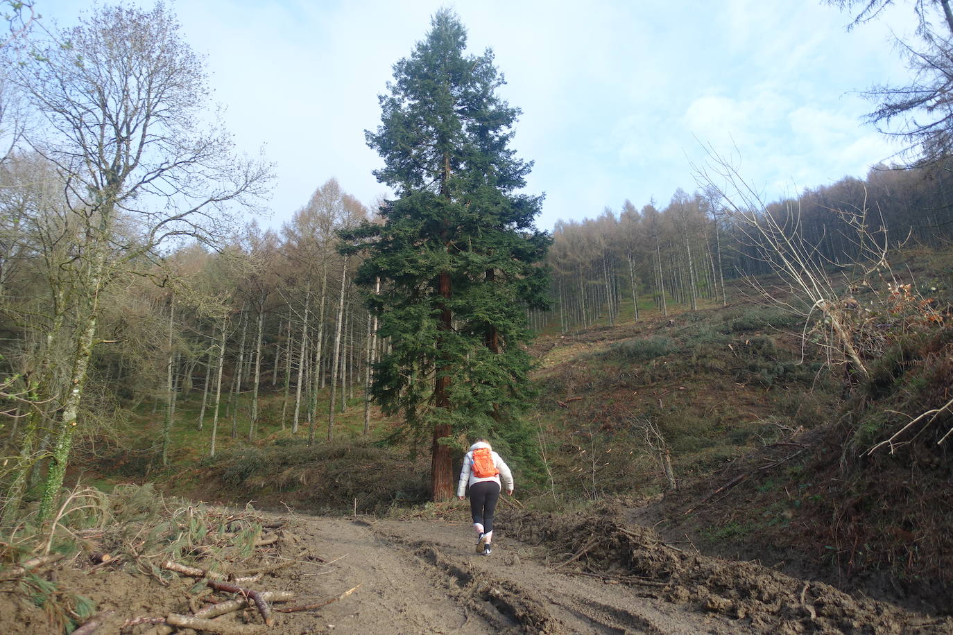 Fotos: Irimo, silencioso guardián del Urola