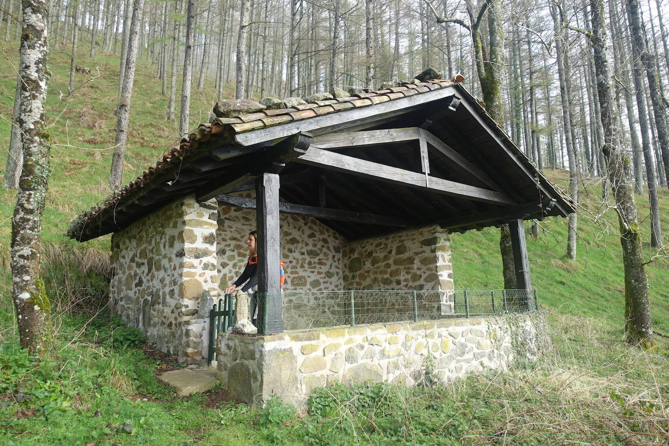 Fotos: Irimo, silencioso guardián del Urola