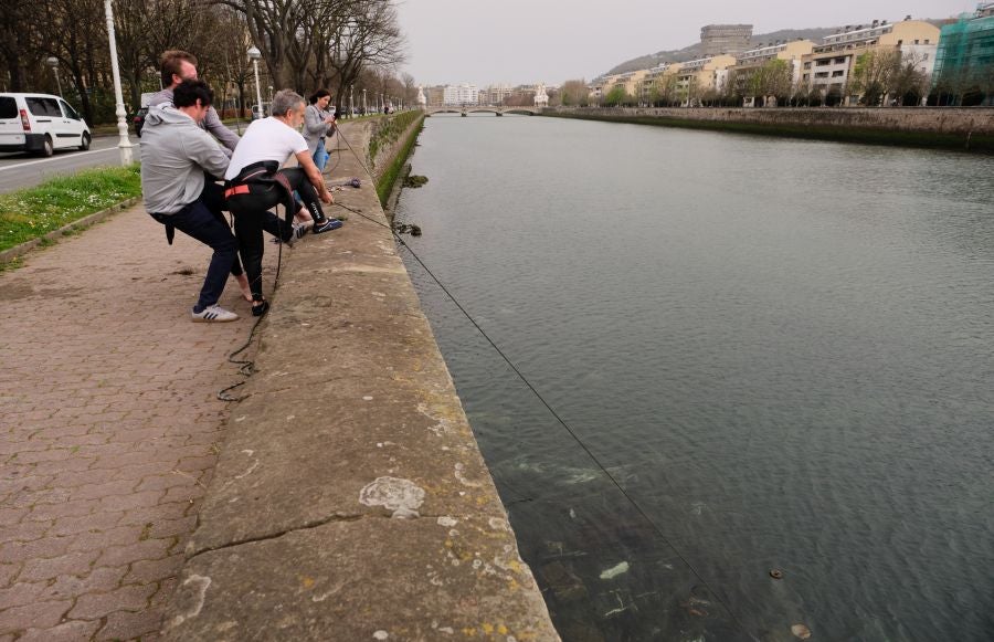 Fotos: El PP de San Sebastián denuncia la basura que hay en el Urumea