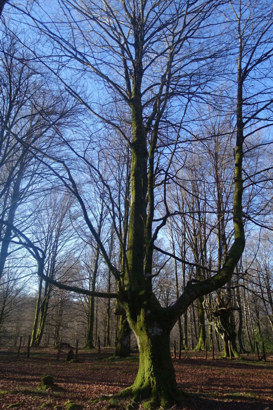 Fotos: Guratz, de camino a Santa Bárbara