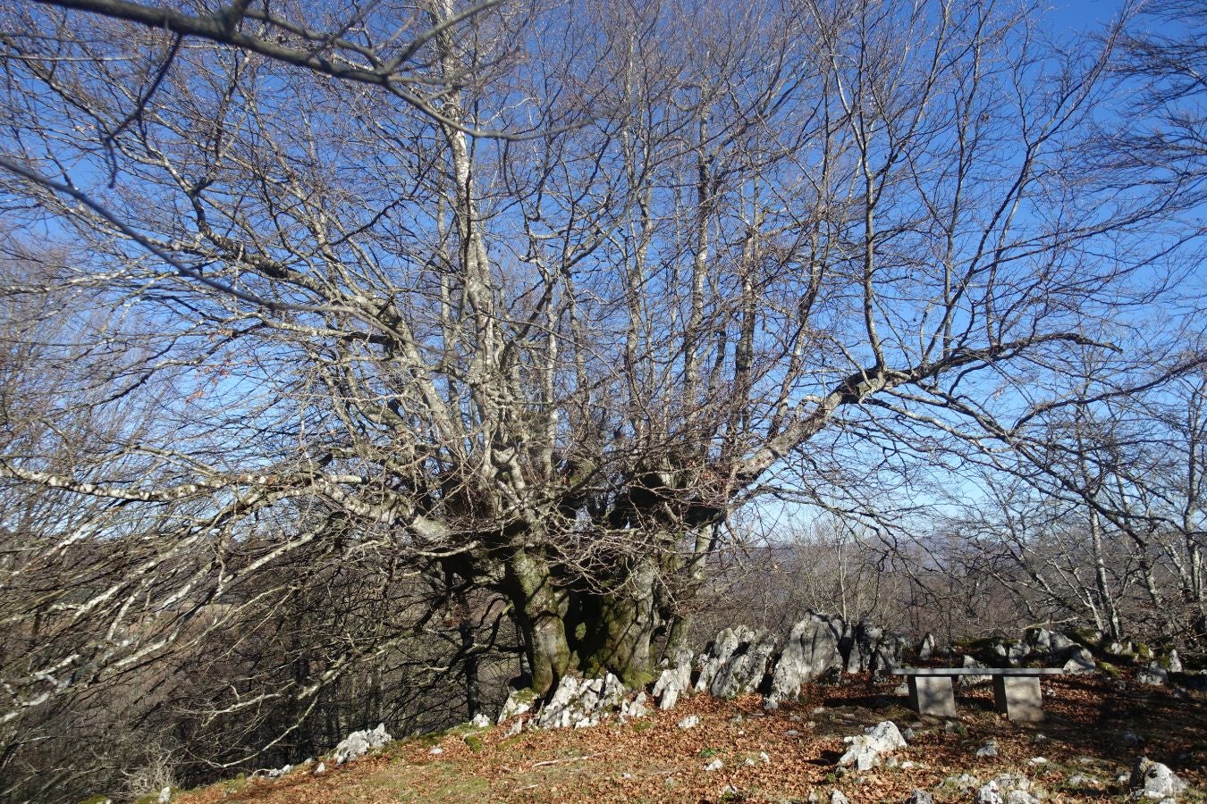 Fotos: Guratz, de camino a Santa Bárbara