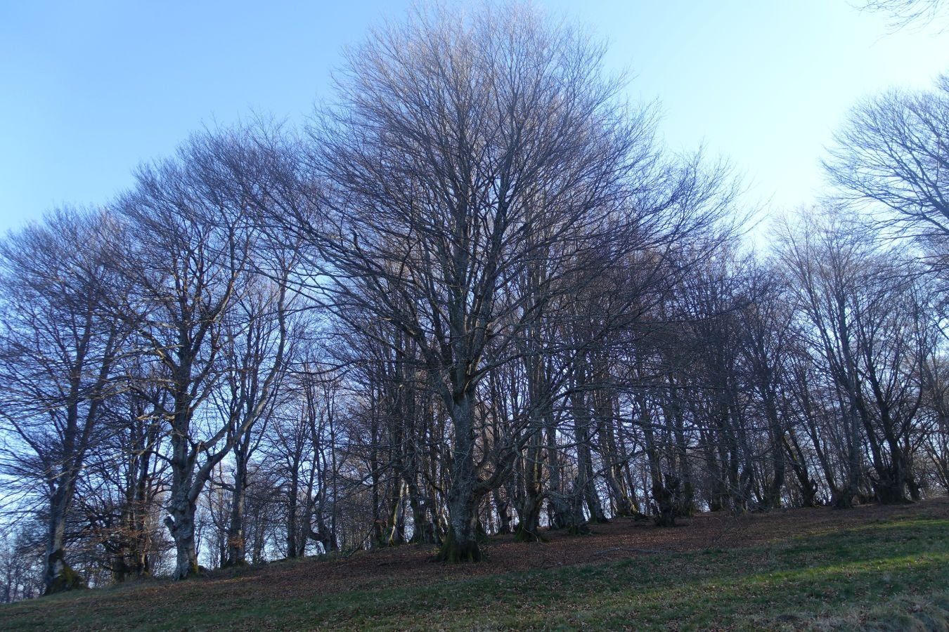 Fotos: Guratz, de camino a Santa Bárbara