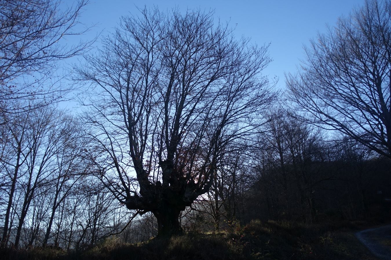 Fotos: Guratz, de camino a Santa Bárbara