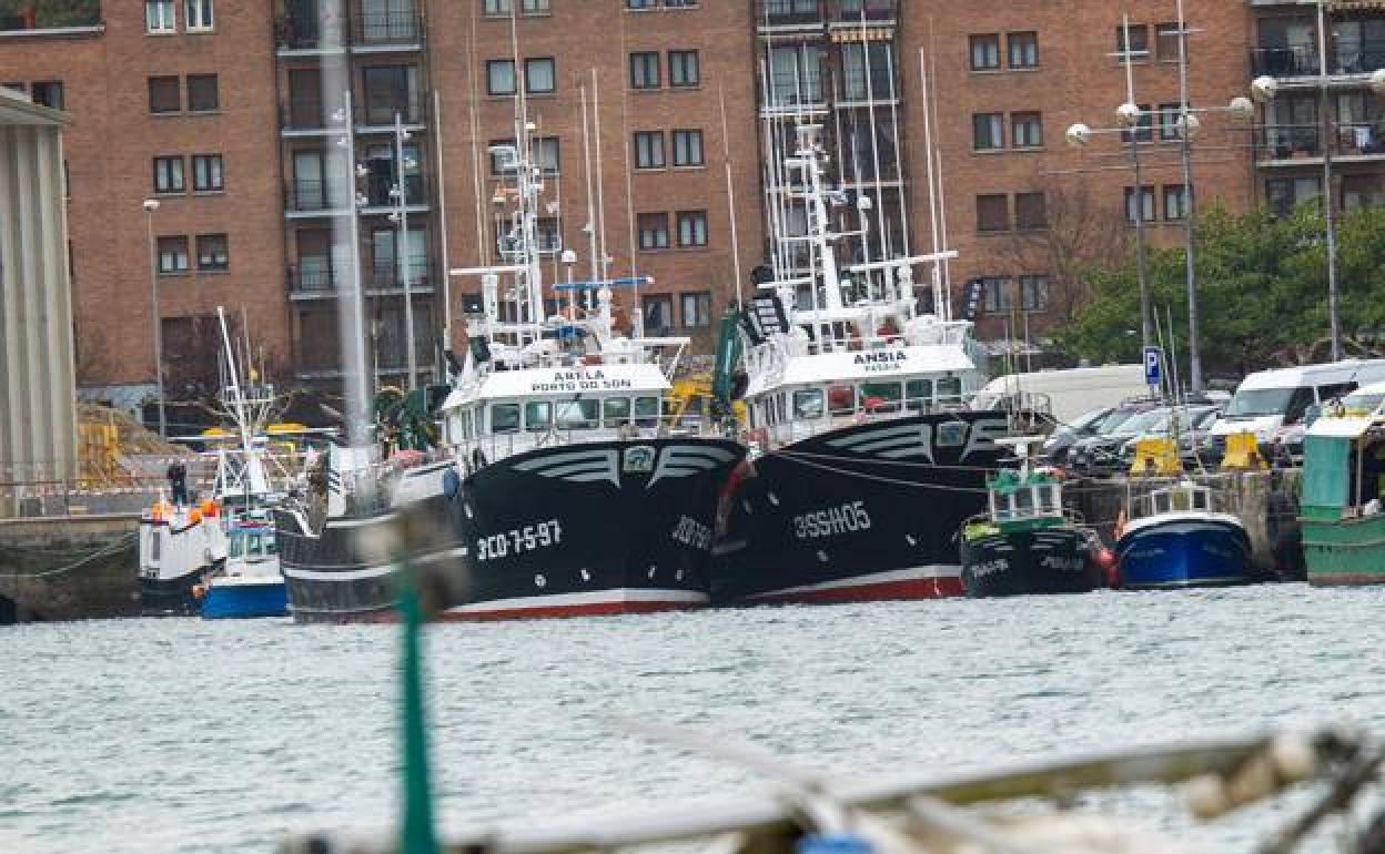 Barcos de pesca amarrados en el puerto de Pasaia. 