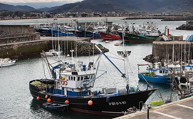 El sector pesquero solicita medidas urgentes o tendrá que prolongar el paro