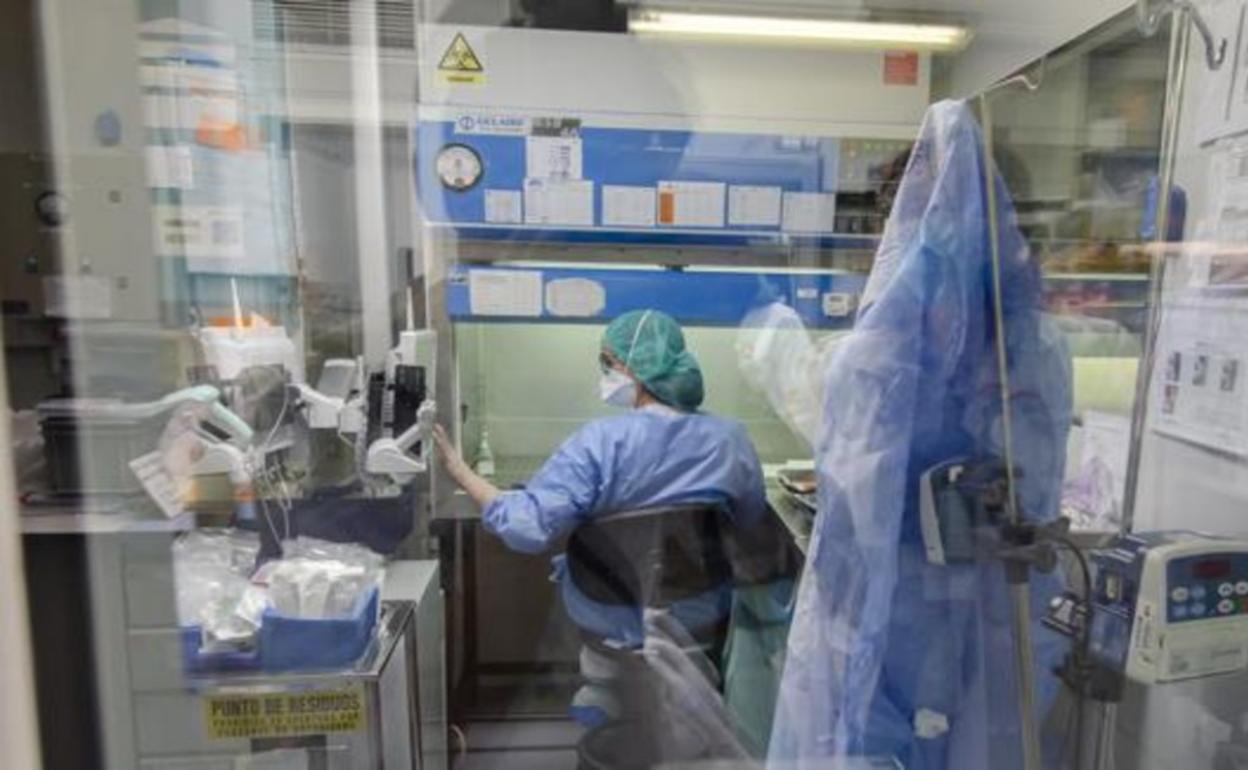 «Incidencias puntuales» en hospitales y ambulatorios vascos por la huelga de los transportistas