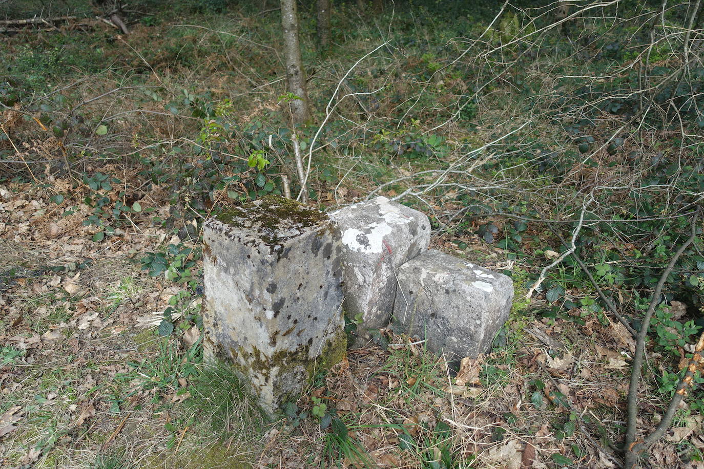 Fotos: Intxur, por el antiguo castro de Tolosaldea